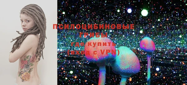 ГАЛЛЮЦИНОГЕННЫЕ ГРИБЫ Навашино