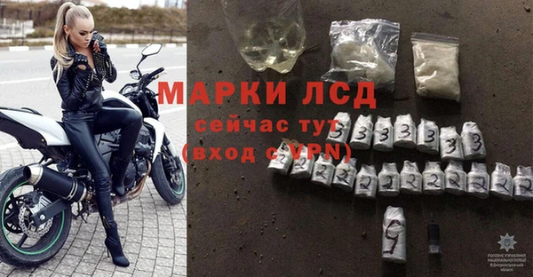 трава Наволоки