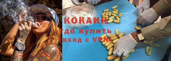 трава Наволоки