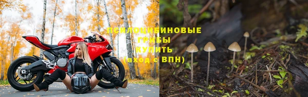 ГАЛЛЮЦИНОГЕННЫЕ ГРИБЫ Навашино
